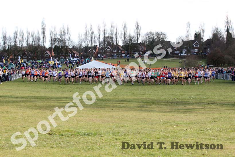 Senior mens start, McCain Inter Counties Cross Country, Cofton Park, Birmingham.